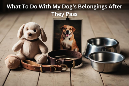 Image of dog belongings and a picture of a dog