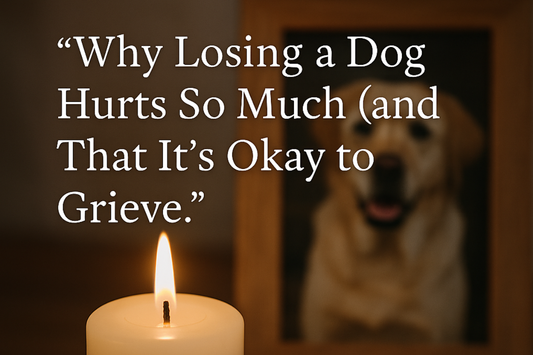 A candle with a photo of a dog in a frame in the background. The phrase "Why Losing A Dog Hurts So Much (and That It's Okay to Grieve."