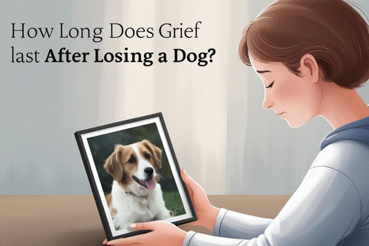 A Sad Girl Holding A Picture of Her Dog