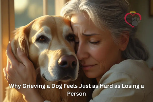 An older woman with white hair hugging her older dog