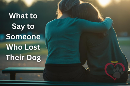 A person comforting their friend on a park bench with the phrase "What to Say to Someone Who Lost Their Dog"