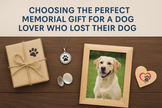 A package, a necklace, and a picture of a dog with a heart next to it.