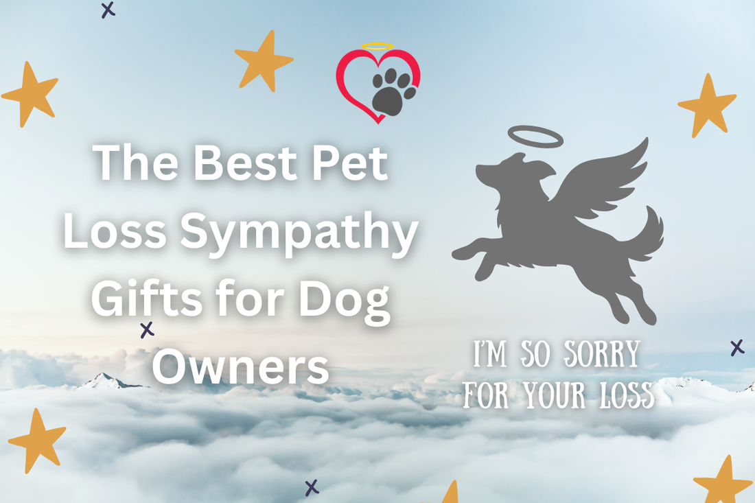 The Best Pet Loss Sympathy Gifts for Dog Owners Clouds with a silhouette of a dog with wings and a halo
