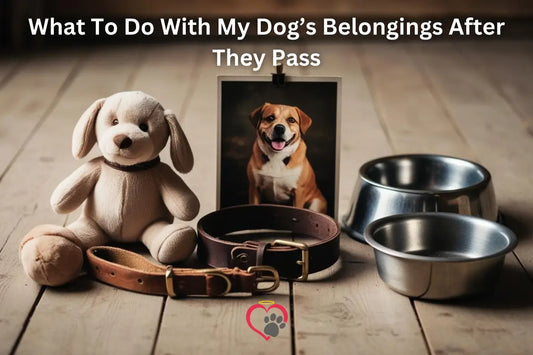 What to Do with My Dog’s Belongings After They Pass