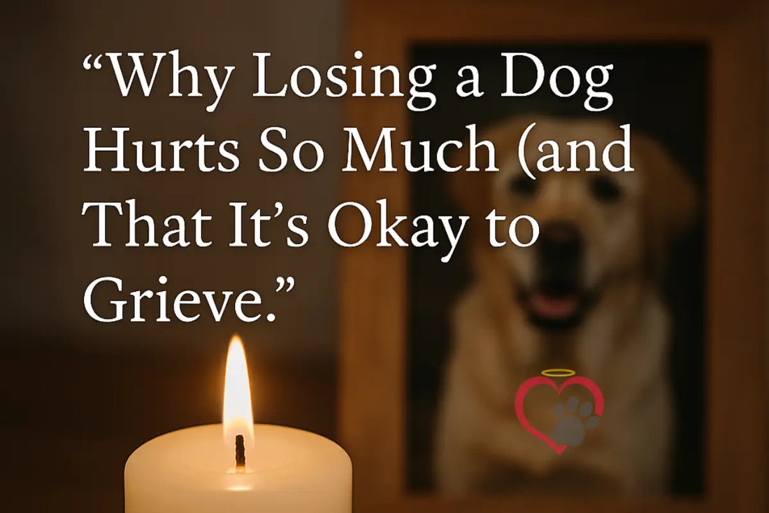 Why Losing a Dog Hurts So Much (and That It’s Okay to Grieve)