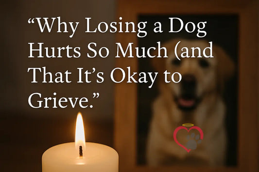 Why Losing a Dog Hurts So Much (and That It’s Okay to Grieve)