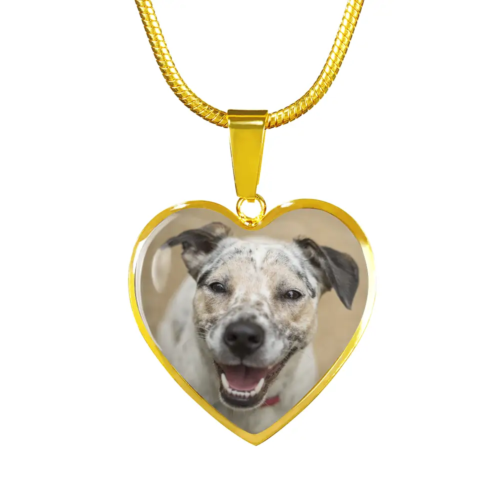 Forever in My Heart Necklace – A Timeless Tribute to Your Beloved Dog Jewelry