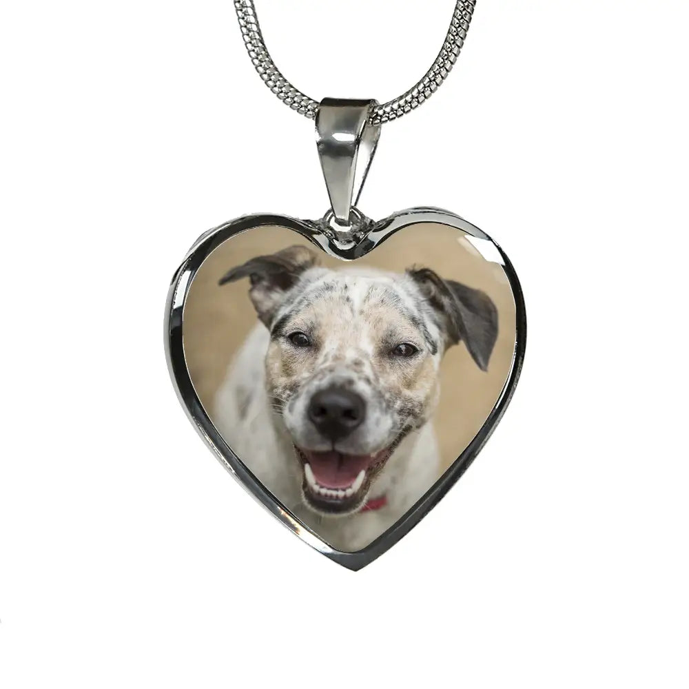 Forever in My Heart Necklace – A Timeless Tribute to Your Beloved Dog Jewelry