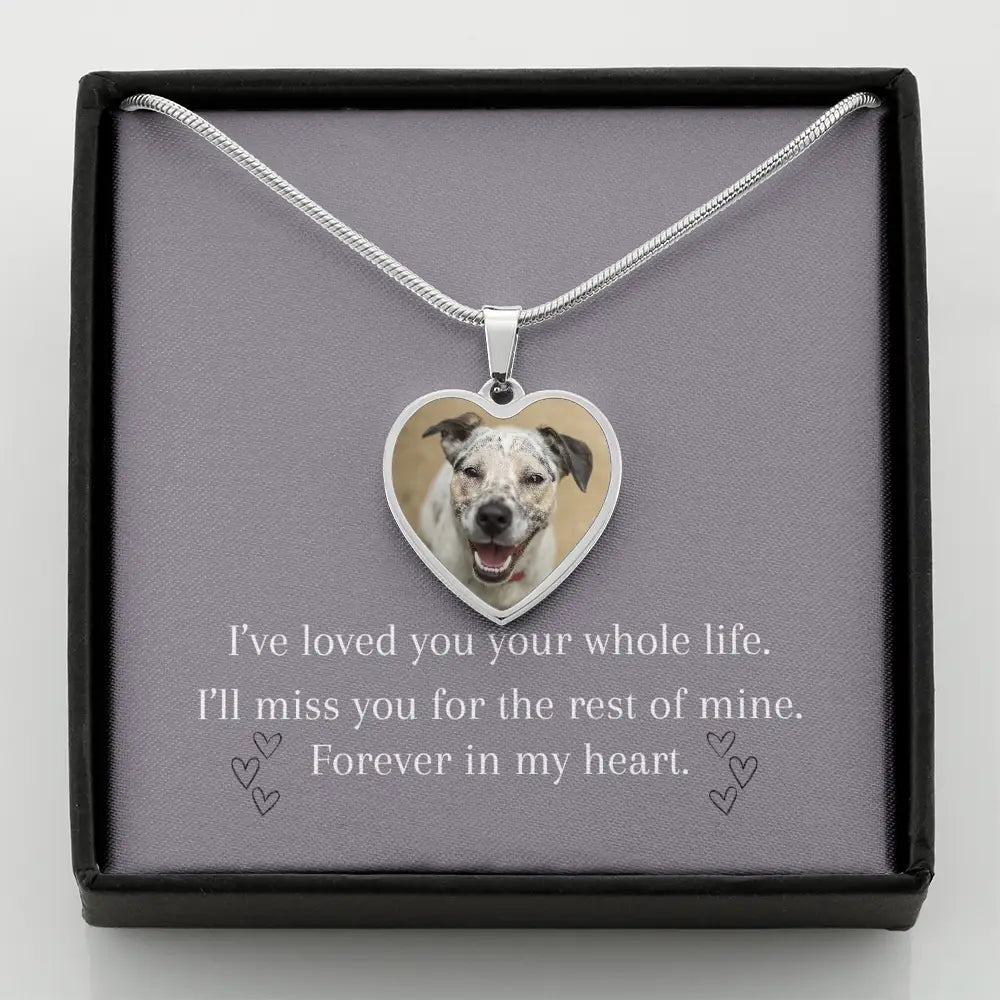 Forever in My Heart Necklace – A Timeless Tribute to Your Beloved Dog Jewelry