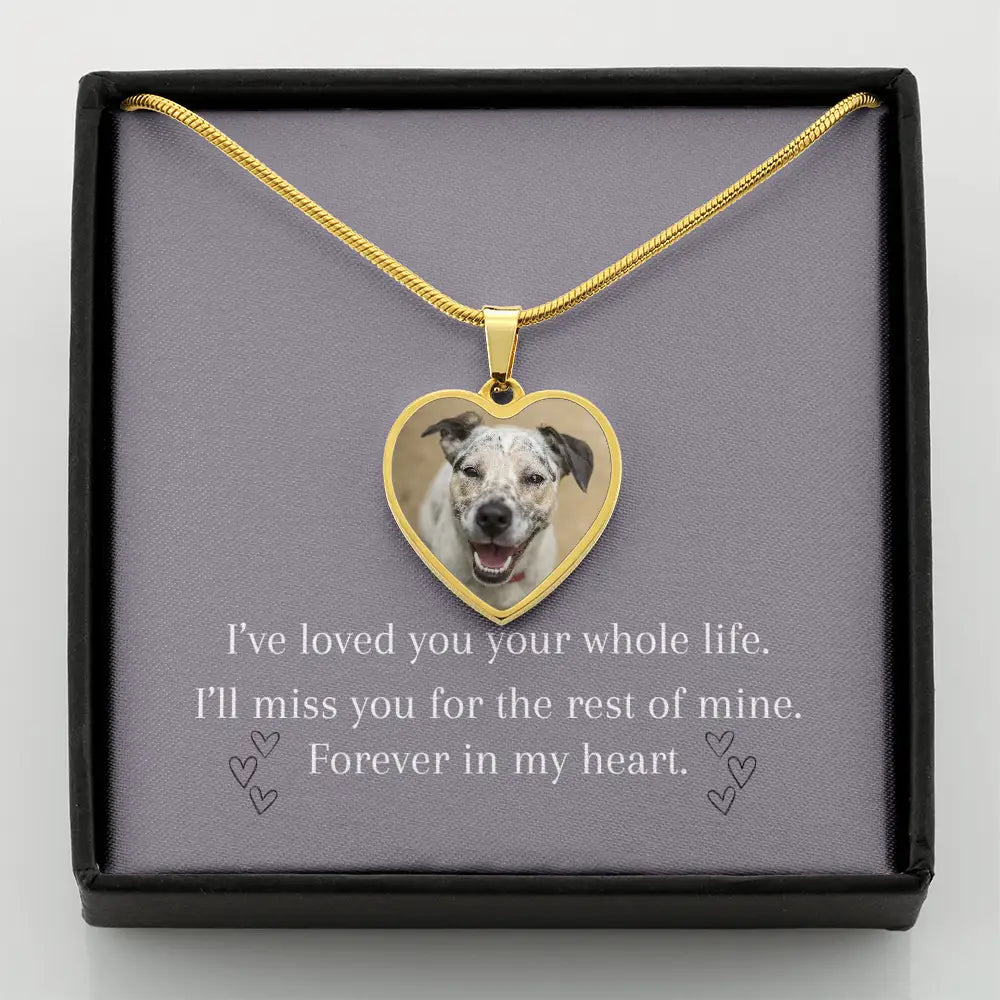 Forever in My Heart Necklace – A Timeless Tribute to Your Beloved Dog Jewelry