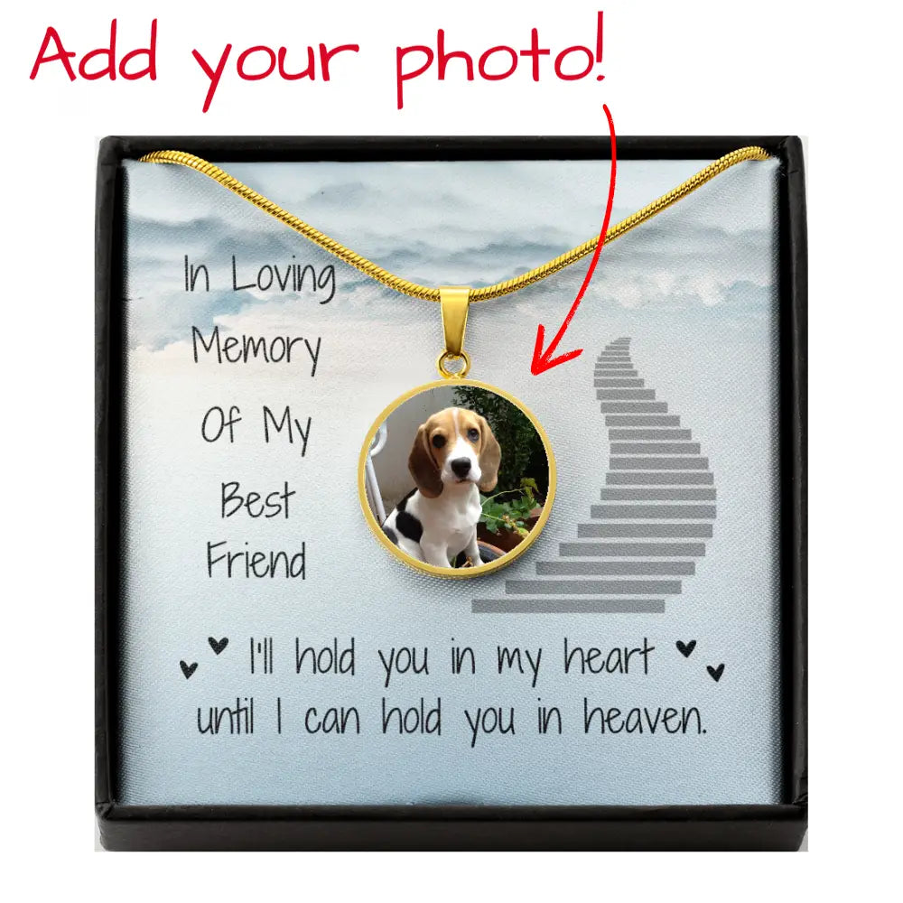In My Heart Forever Circle Necklace Jewelry
