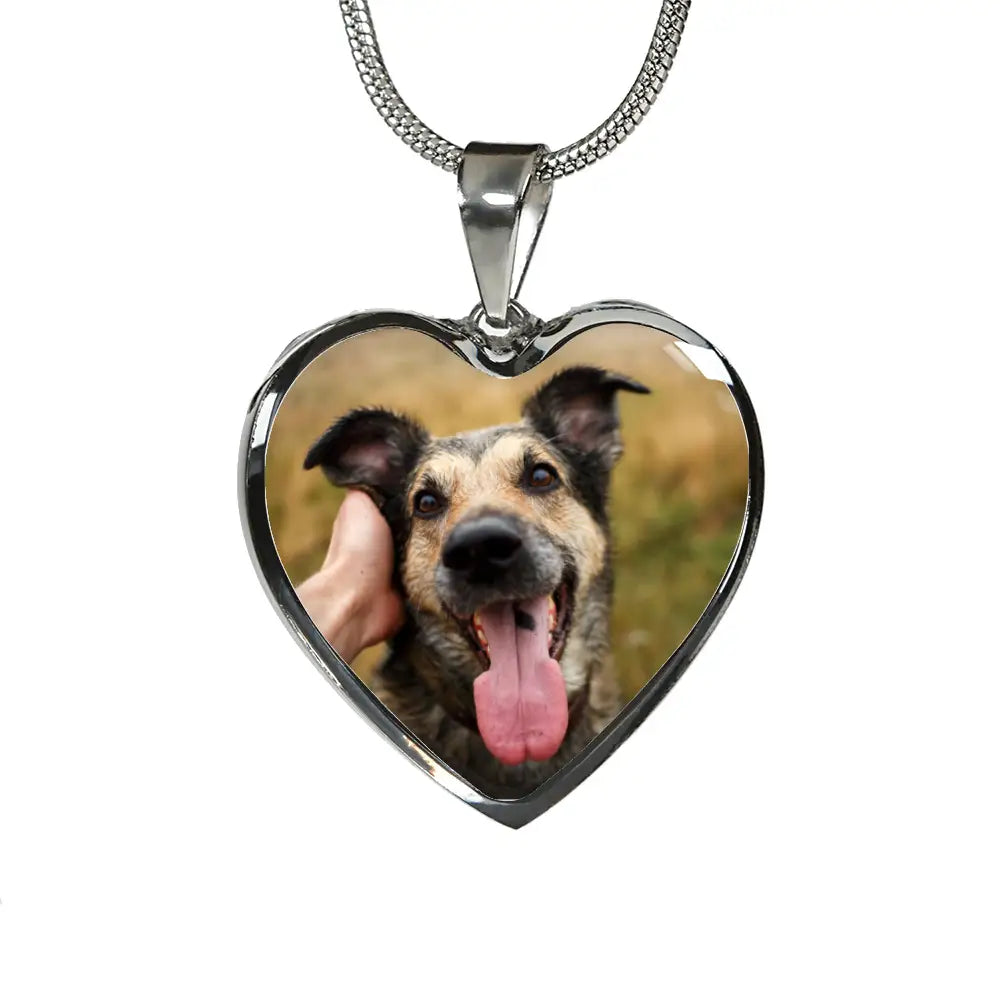 Missing My Dog - Until I Can Hold You Again In Heaven Necklace - Jewelry