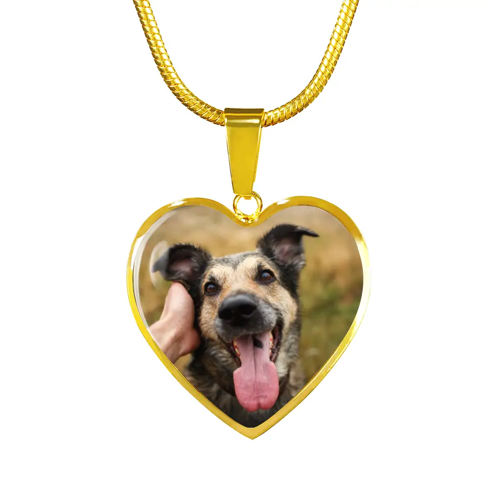 Missing My Dog - Until I Can Hold You Again In Heaven Necklace - Jewelry