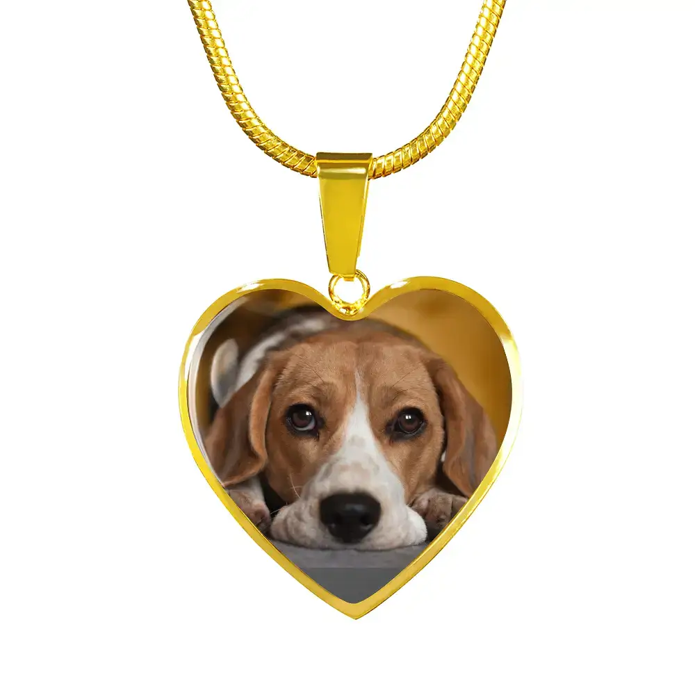 Missing My Dog - My Favorite Hello My Hardest Goodbye Personalizable Necklace - Jewelry