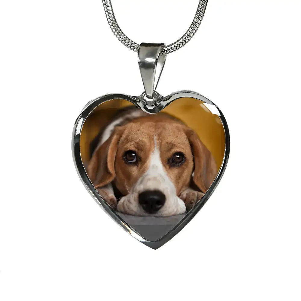 Missing My Dog - My Favorite Hello My Hardest Goodbye Personalizable Necklace - Jewelry
