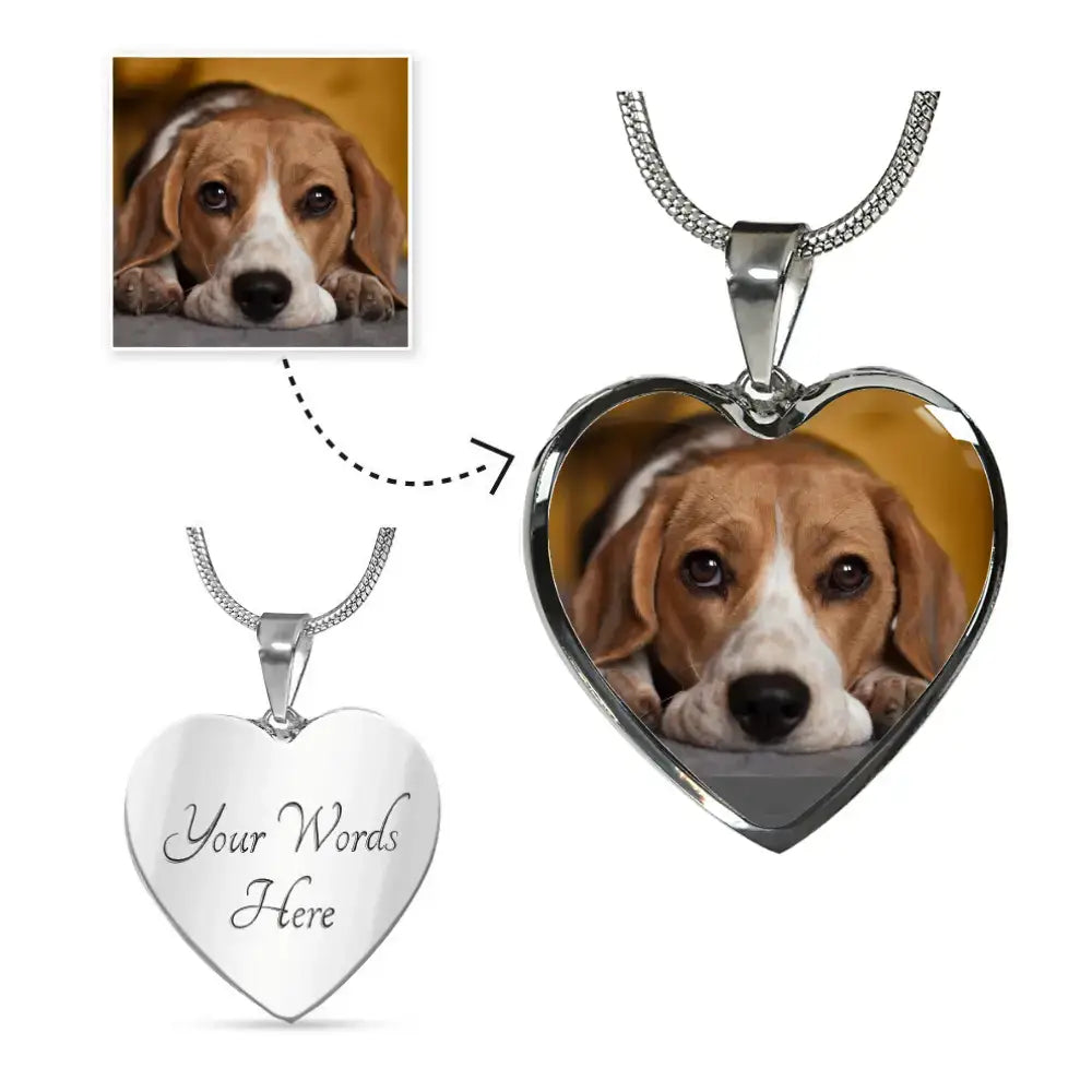 Missing My Dog - My Favorite Hello My Hardest Goodbye Personalizable Necklace - Jewelry