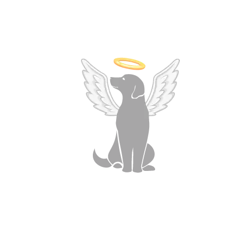 Silver angel statue with wings and halo